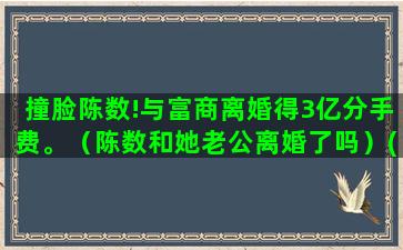 撞脸陈数!与富商离婚得3亿分手费。（陈数和她老公离婚了吗）(刘威葳 陈数撞脸)